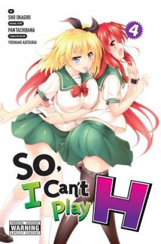 Kniha So, I Can't Play H, Vol. 4 Pan Tachibana