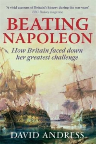 Kniha Beating Napoleon David Andress