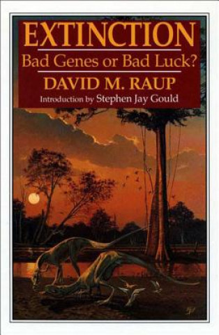 Kniha Extinction David M. Raup