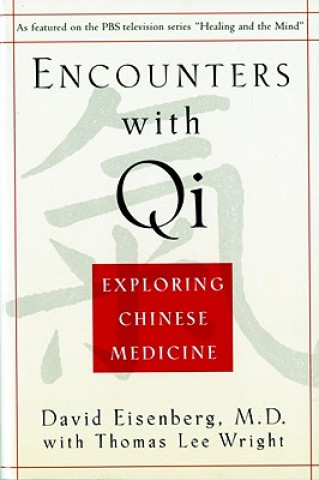 Kniha Encounters with Qi David Eisenberg