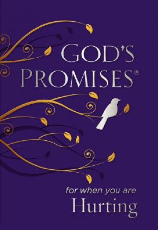 Könyv God's Promises for When You are Hurting Jack Countryman