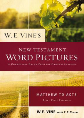 Libro W. E. Vine's New Testament Word Pictures: Matthew to Acts W.E. Vine