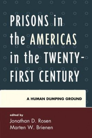 Könyv Prisons in the Americas in the Twenty-First Century Marten W Brienen