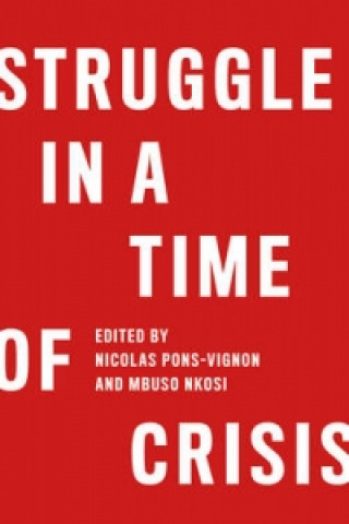 Libro Struggle in a Time of Crisis 