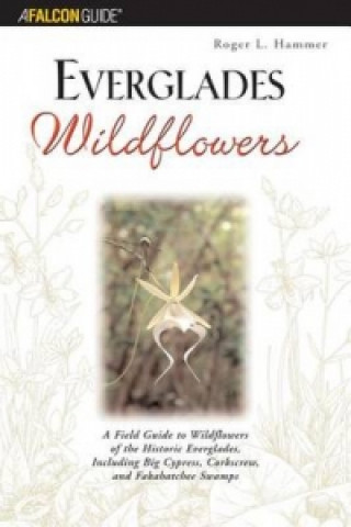 Buch Everglades Wildflowers Roger L. Hammer