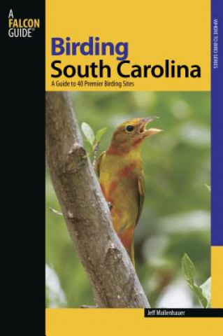 Kniha Birding South Carolina Jeff Mollenhauer