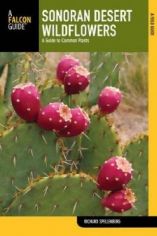 Kniha Sonoran Desert Wildflowers Richard Ellenberg