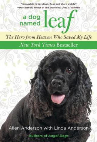 Kniha Dog Named Leaf Allen Anderson