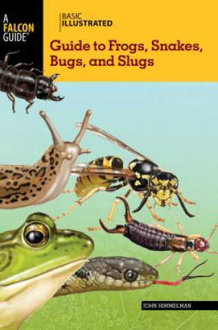 Könyv Basic Illustrated Guide to Frogs, Snakes, Bugs, and Slugs John Himmelman