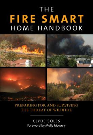 Knjiga Fire Smart Home Handbook Clyde Soles