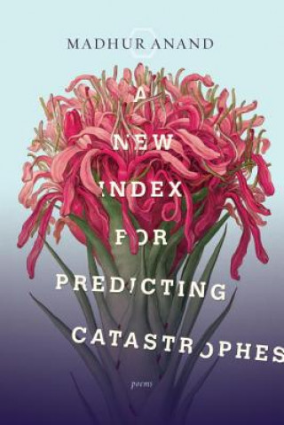 Książka New Index For Predicting Catastrophes Madhur Anand