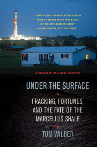 Βιβλίο Under the Surface Tom Wilber