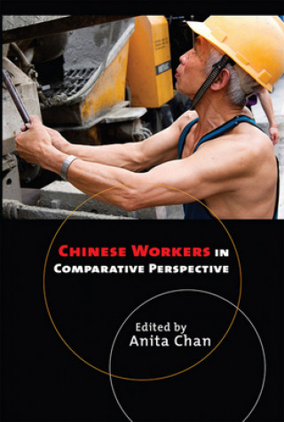 Kniha Chinese Workers in Comparative Perspective 