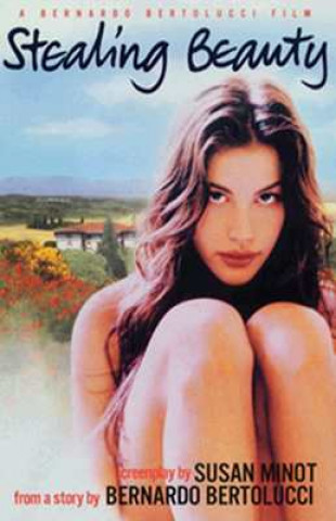 Kniha Stealing Beauty Susan Minot