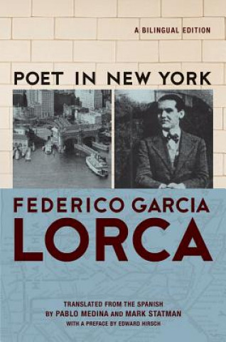 Könyv Poet in New York/Poeta En Nueva York Frederico Garcia Lorca