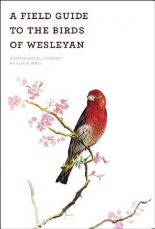 Książka Field Guide of the Birds of Wesleyan Oliver James