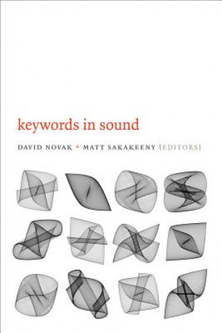 Könyv Keywords in Sound David Novak