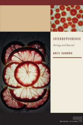 Kniha Interdependence Kriti Sharma