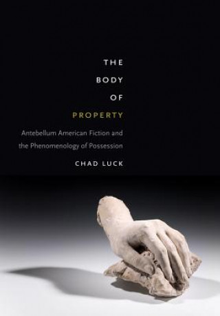 Könyv Body of Property Chad Luck