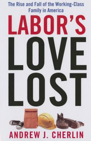 Książka Labor's Love Lost Andrew J Cherlin