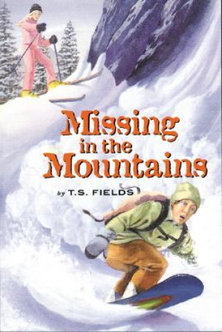 Kniha Missing in the Mountains Terri Fields