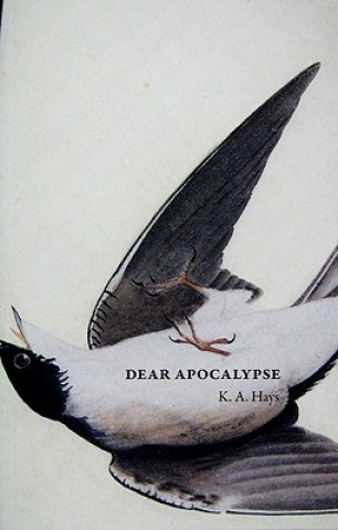 Könyv Dear Apocalypse K A Hays