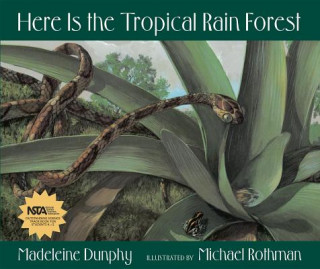 Könyv Here Is the Tropical Rain Forest Madeleine Dunphy