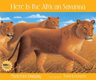 Carte Here Is the African Savanna Madeleine Dunphy