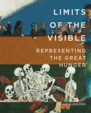 Book Limits of the Visible Luke Gibbons