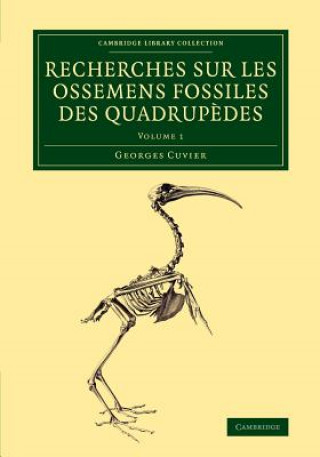Könyv Recherches sur les ossemens fossiles des quadrupedes Georges Cuvier