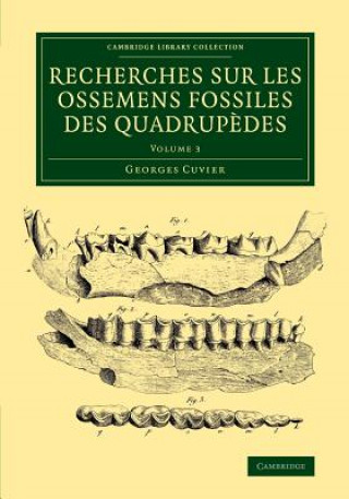Книга Recherches sur les ossemens fossiles des quadrupedes Georges Cuvier