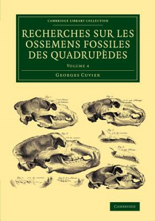 Carte Recherches sur les ossemens fossiles des quadrupedes Georges Cuvier