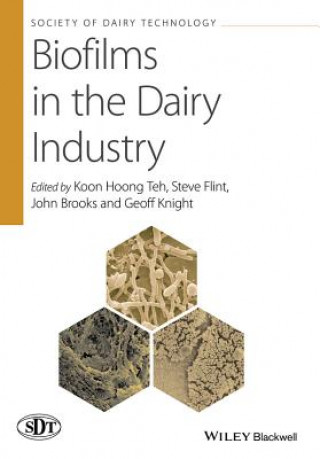 Könyv Biofilms in the Dairy Industry Koon Hoong Teh