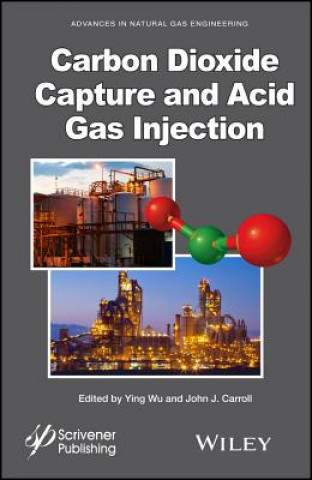 Kniha Carbon Dioxide Capture and Acid Gas Injection Ying Wu