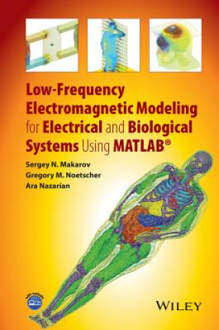 Könyv Low-Frequency Electromagnetic Modeling for Electrical and Biological Systems Using MATLAB Sergey N. Makarov