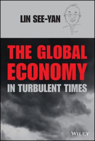 Kniha Global Economy in Turbulent Times See-Yan Lin