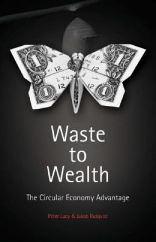 Книга Waste to Wealth Peter Lacy