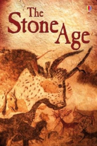 Kniha Stone Age Jerome Martin