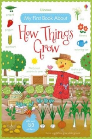 Książka My First Book About How Things Grow Felicity Brooks