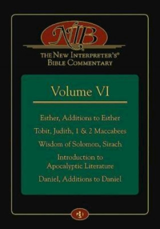 Könyv New Interpreter's Bible Commentary Volume VI Leander E Keck