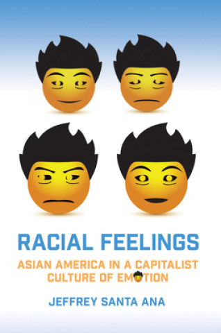 Kniha Racial Feelings Jeffrey Santa Ana