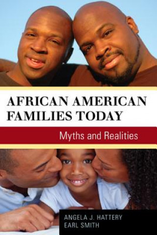 Kniha African American Families Today Angela J. Hattery