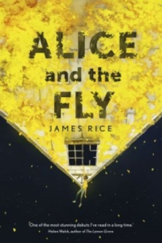 Książka Alice and the Fly James Rice