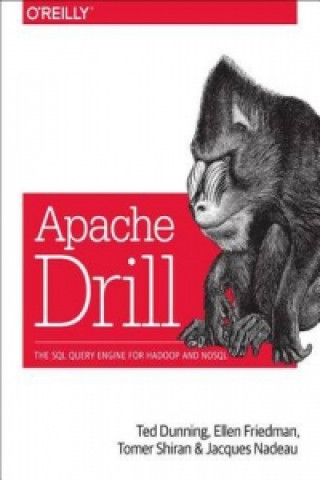 Buch Drill Ted Dunning