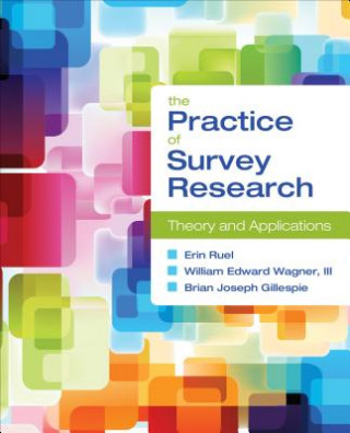 Buch Practice of Survey Research Erin E. Ruel