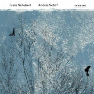 Audio Fortepiano, 2 Audio-CD Andras Schiff