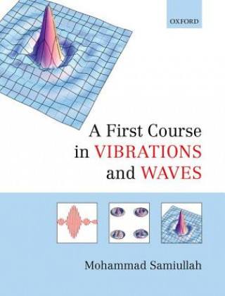 Buch First Course in Vibrations and Waves Mohammad Samiullah