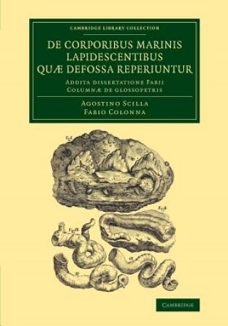 Knjiga De corporibus marinis lapidescentibus quae defossa reperiuntur Agostino Scilla