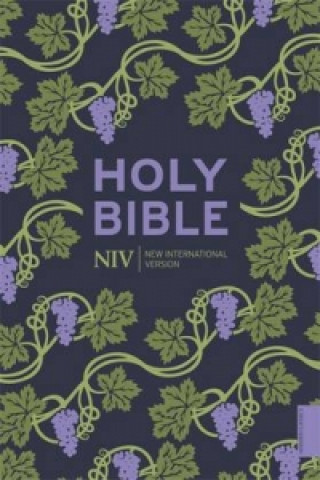 Kniha NIV Holy Bible (Hodder Classics) New International Version