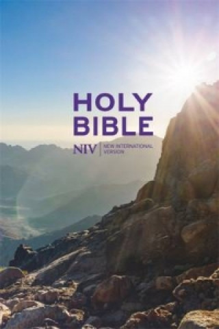 Book NIV Thinline Value Hardback Bible New International Version